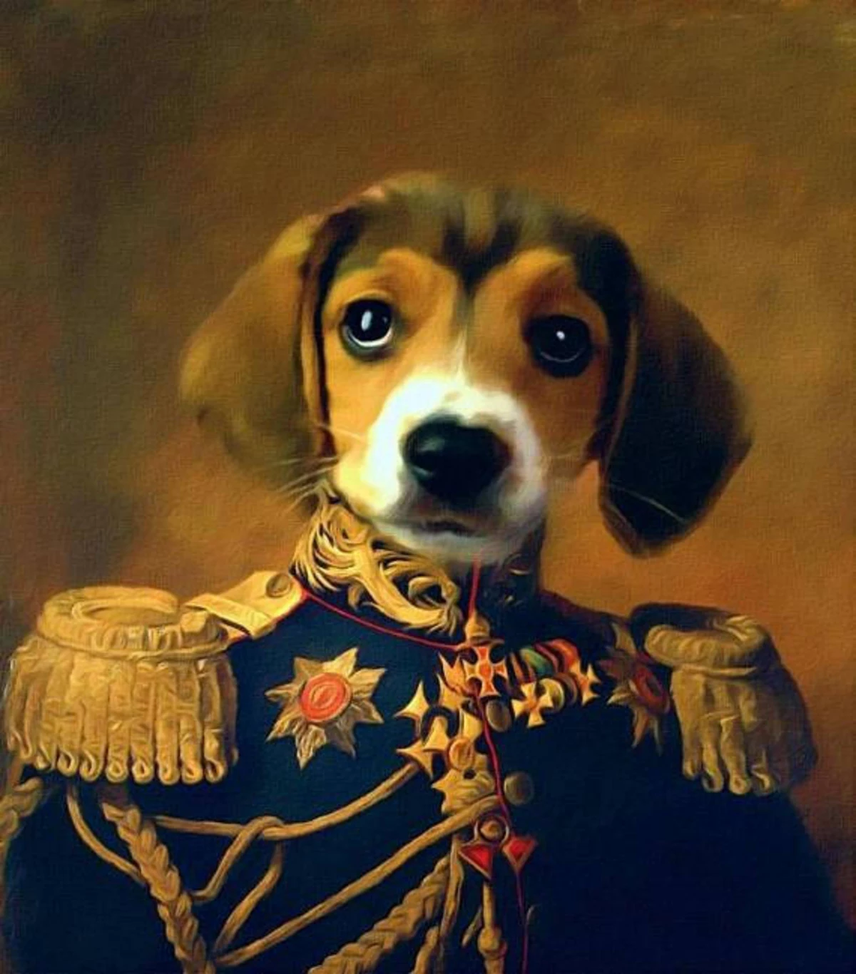 Royal pet. Портрет питомца. Портрет собаки в костюме. Портрет Великого собачника. Такса в военной форме портрет.