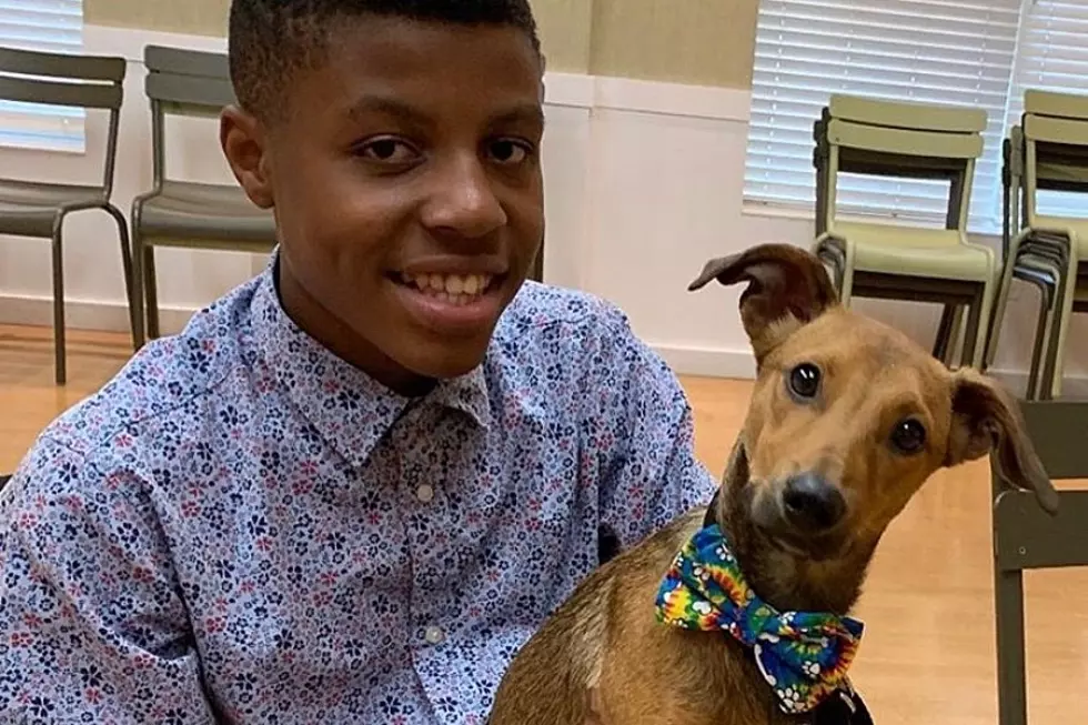 Teen Makes (Wait for It) Mini Bow Ties to Help Dogs Get Adopted