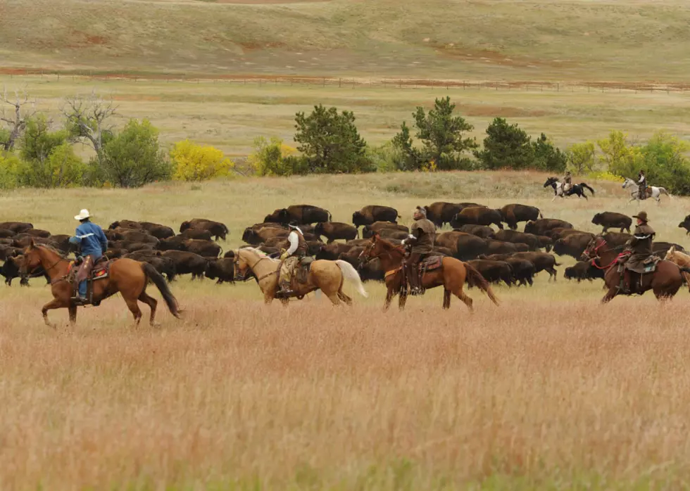 Panhandle Farmers And Ranchers Can Get Direct Aid From The USDA