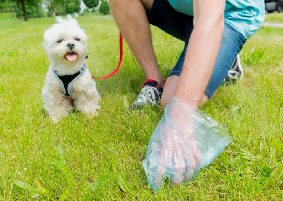 A Tyler Apartment Complex Wants To DNA Swab Dogs So They Can Test Dog Poop