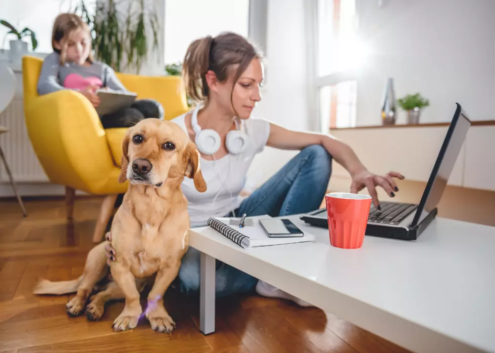 Gov. Jared Polis: Pets Are Important For Your Mental, Physical Health