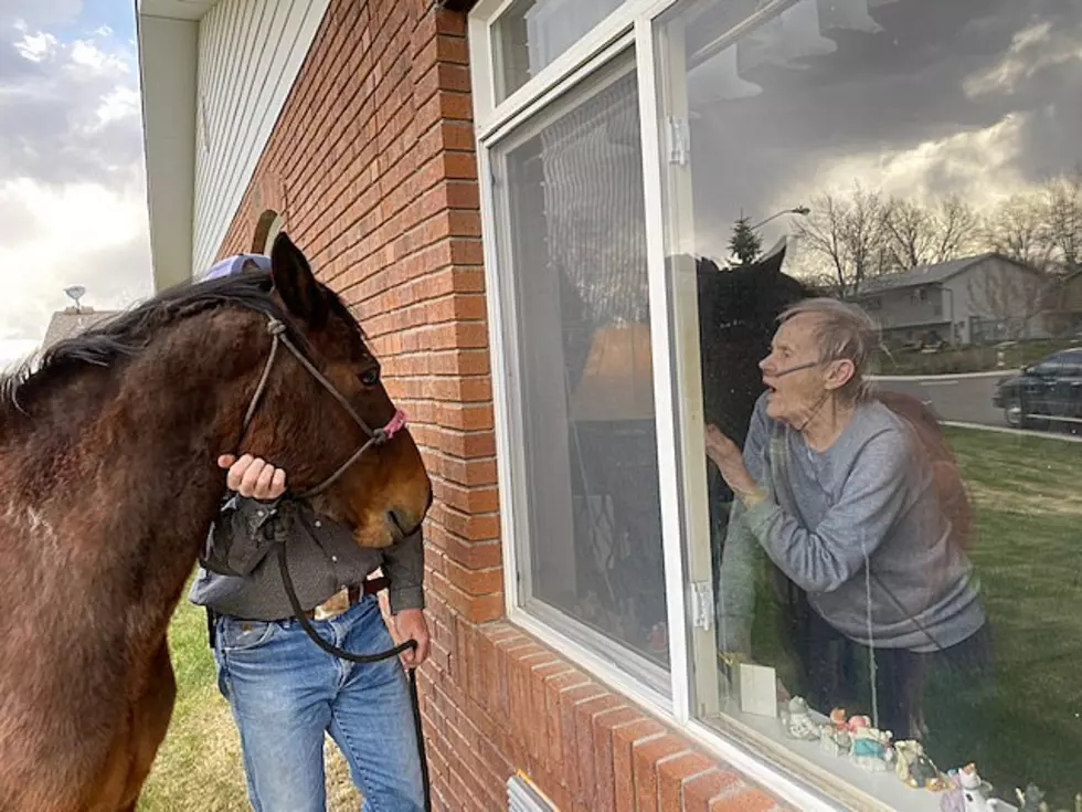 Family Brings Ranch Animals to Visit Assisted Living Center