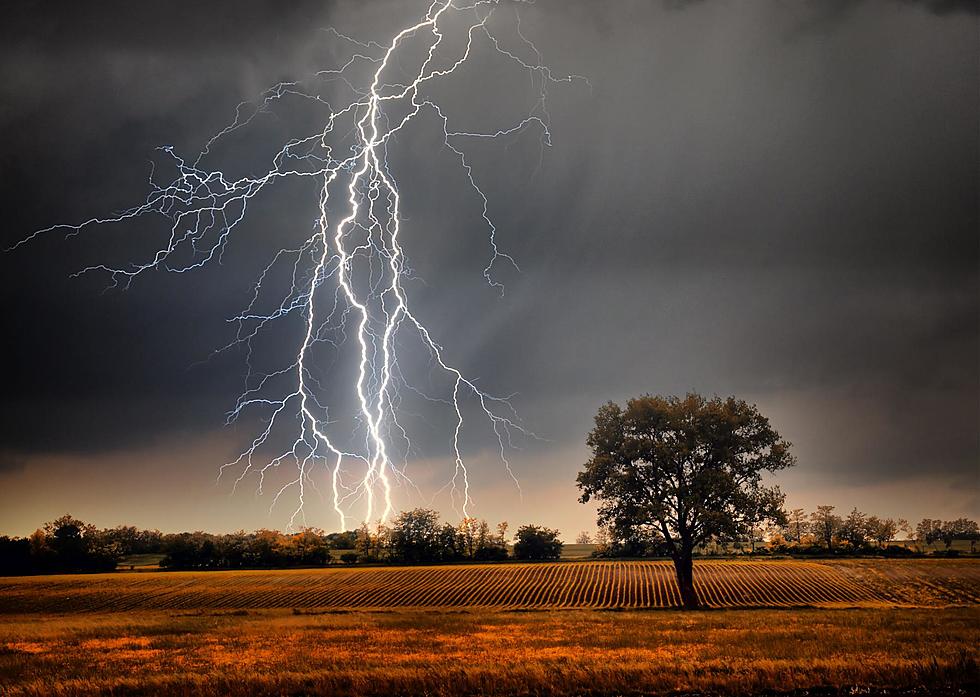 Scar From Lightning Stock Photo - Download Image Now - Agricultural Field,  Damaged, Danger - iStock