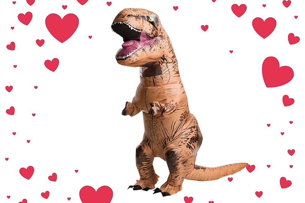 Do You Own An Inflatable Dinosaur Costume? This Is Your Time