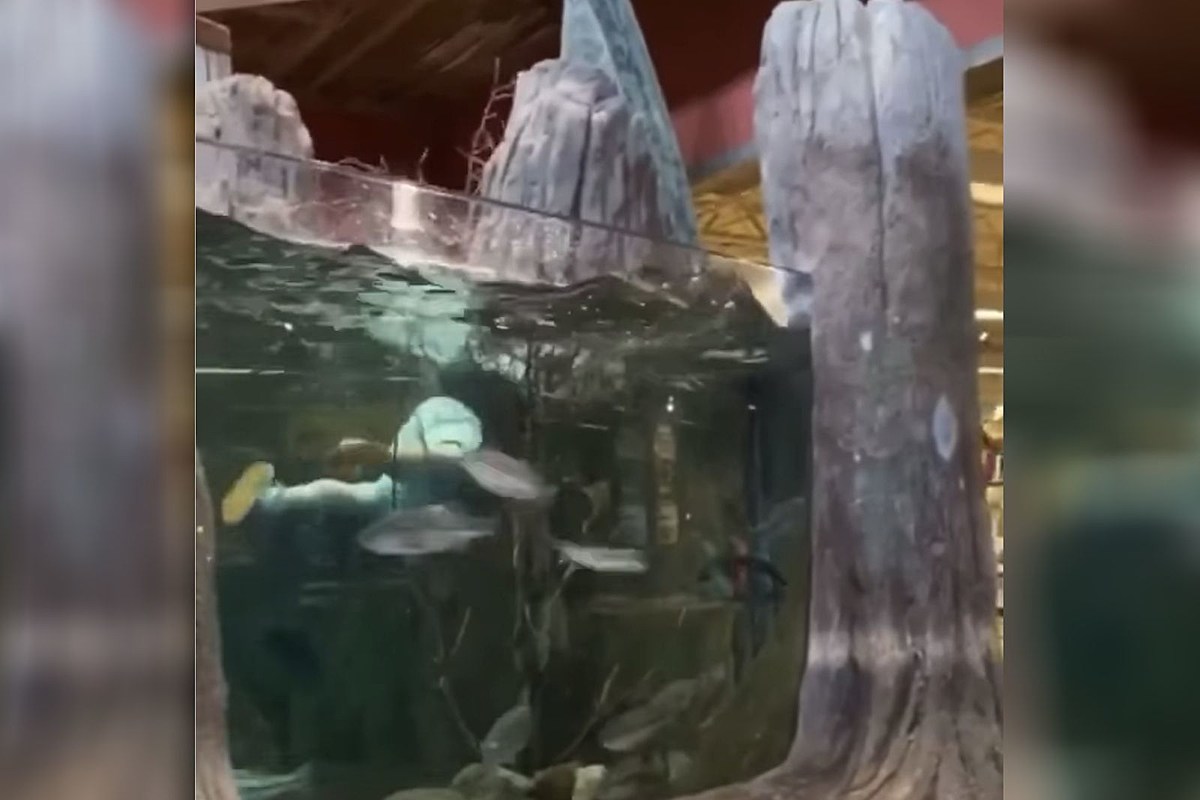 Marlin Stadium Fish Tank Draws Controversy 