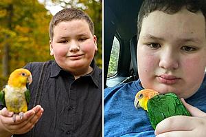 Lost Service Parrot and Boy With Autism Back Together After Heartwarming...