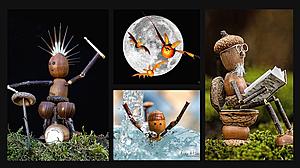 You’ll Go Nuts Over Photographer’s Stunning Whimsical Acorn Pics