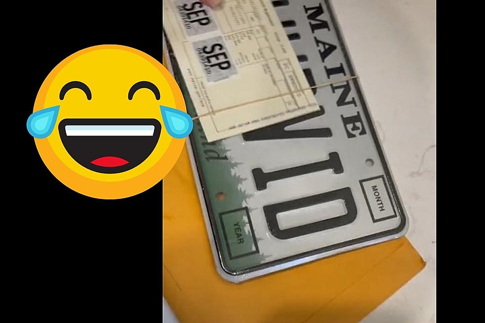 Woman Goes Viral Overnight Thanks to Vanity Plate She Ordered While Drunk