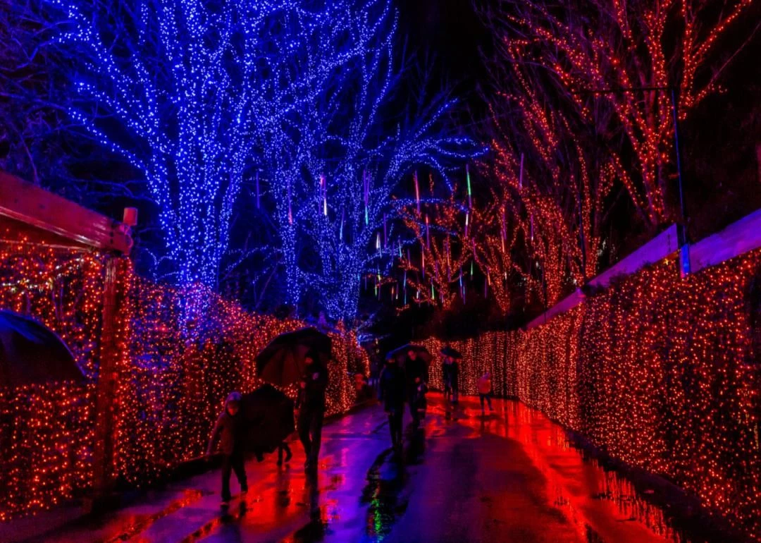 Amazing Videos Capture the Magical Lights-Covered Train in Maine