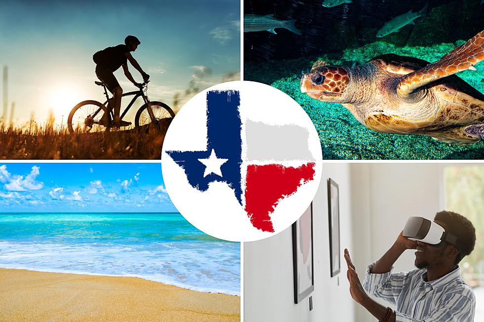 LOOK: These Are the Highest-Rated Free Things To Do in Texas, According to Tripadvisor