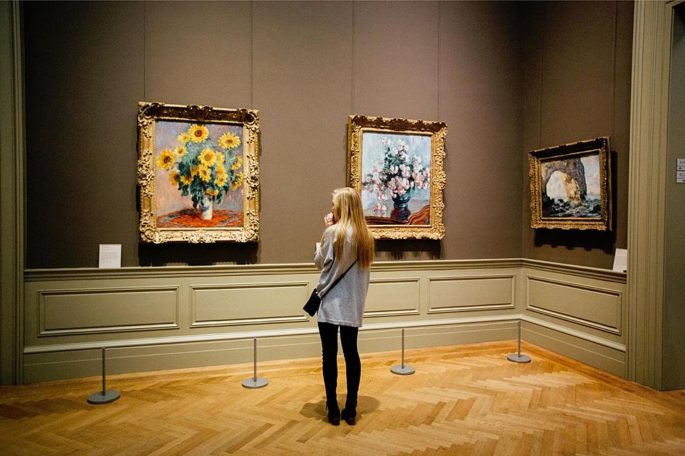 Highest-Rated Museums in Illinois, According to TripAdvisor