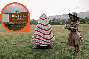 Little Debbie Park with Giant Snack Cake Statues Opens in Collegedale,...