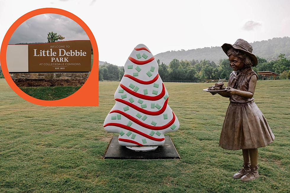Little Debbie Park with Giant Snack Cake Statues Opens in Collegedale, Tennessee