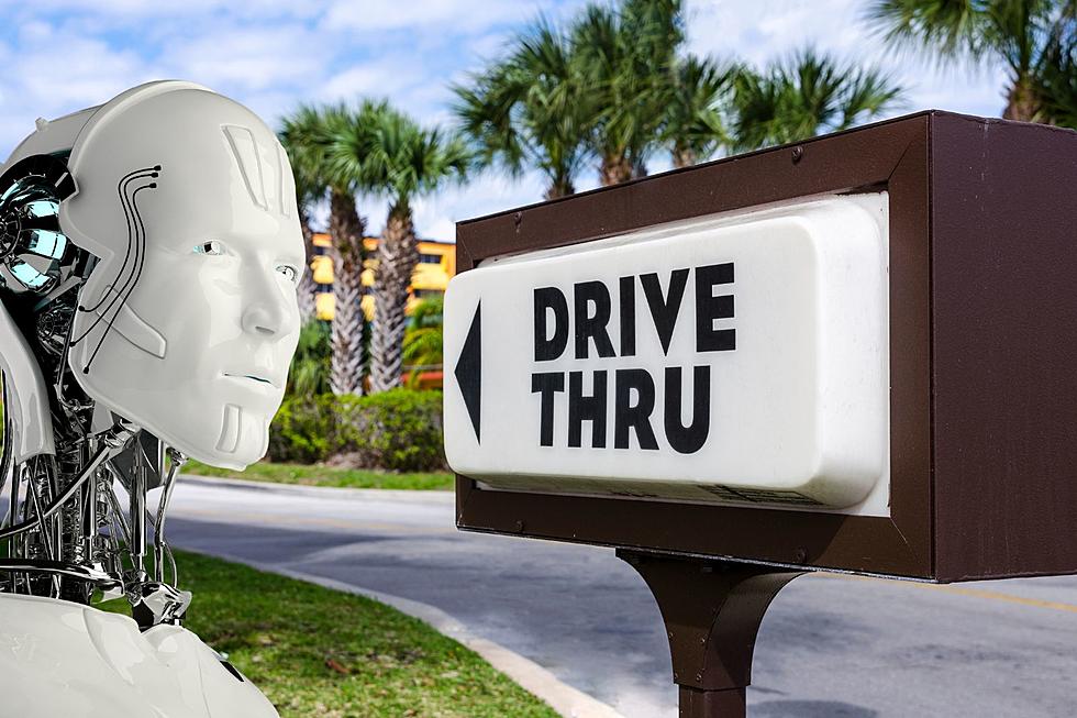 Fast Food Chains Add AI Voicebots to Drive-Thru Lanes