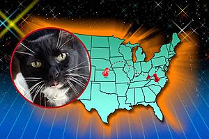 1,000 Miles and 10 Years Later: Missing Kansas Cat Found Safe...
