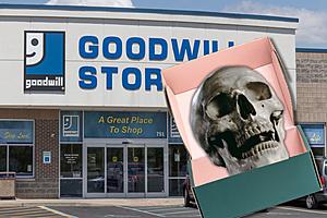 Police Investigating ‘Possible Human Skull’ Found in Goodwill...