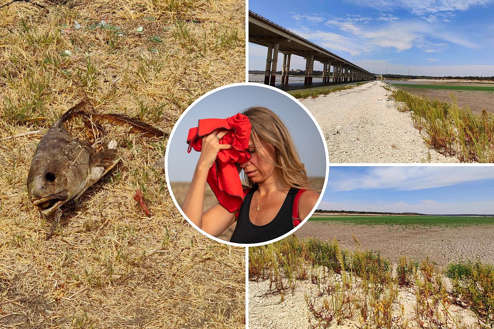 Counties With the Worst Droughts in Texas