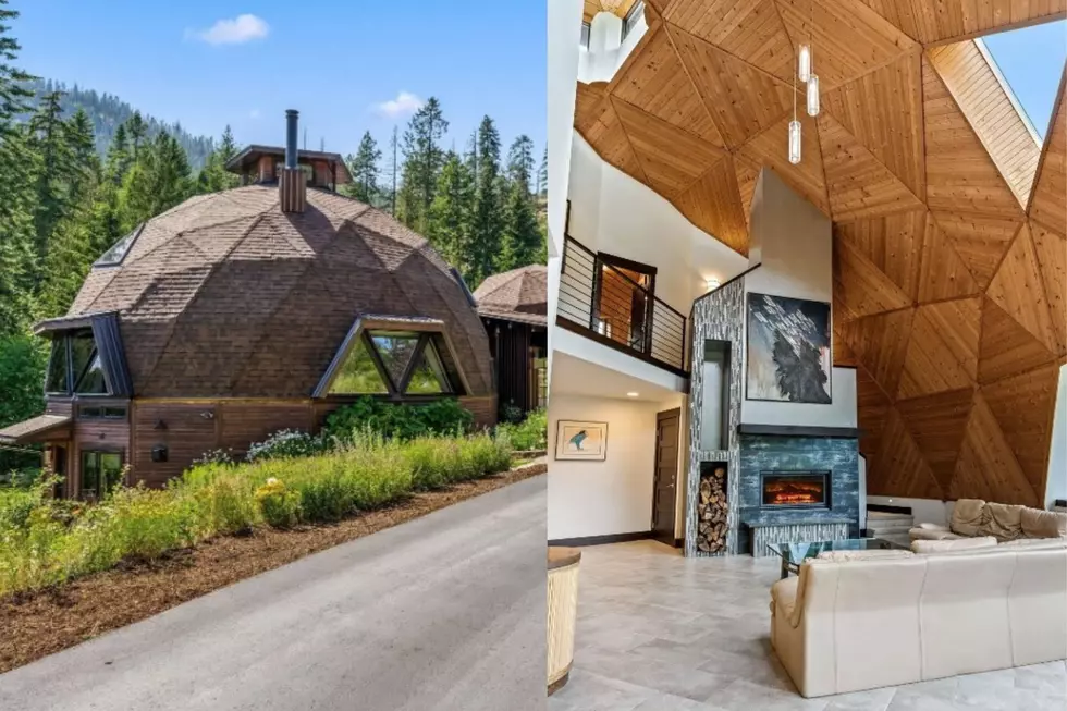 Unique Idaho Dome Home Sits Next to a National Forest [PHOTOS]