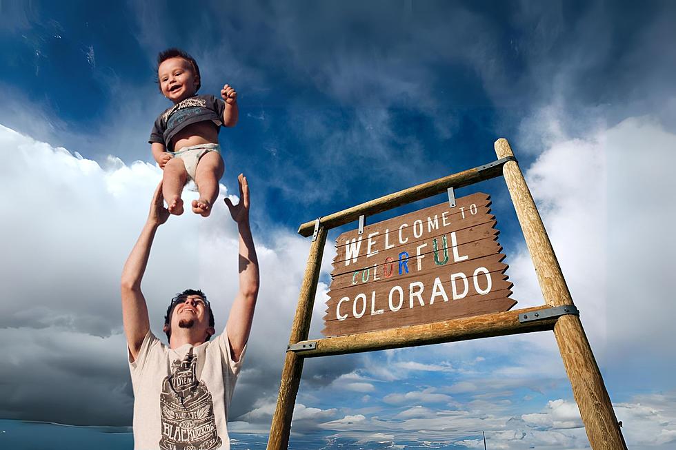 Best counties to raise a family in Colorado