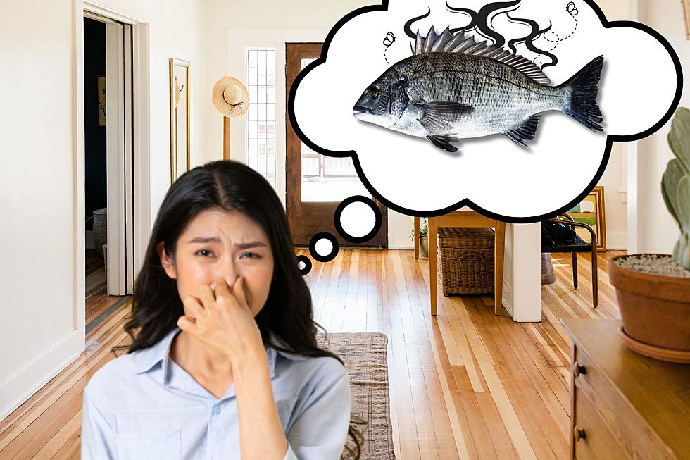 Smell Fish in Your House? You Could be in Danger of Losing Everything