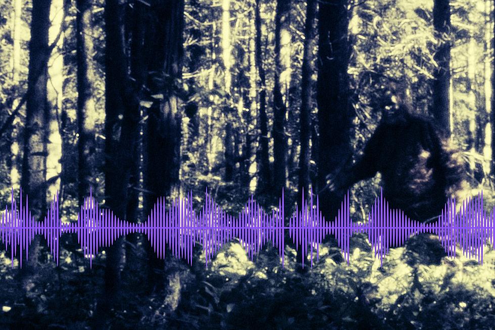 Recording of 'Bigfoot Screams' Resurfaces Nearly a Decade Later