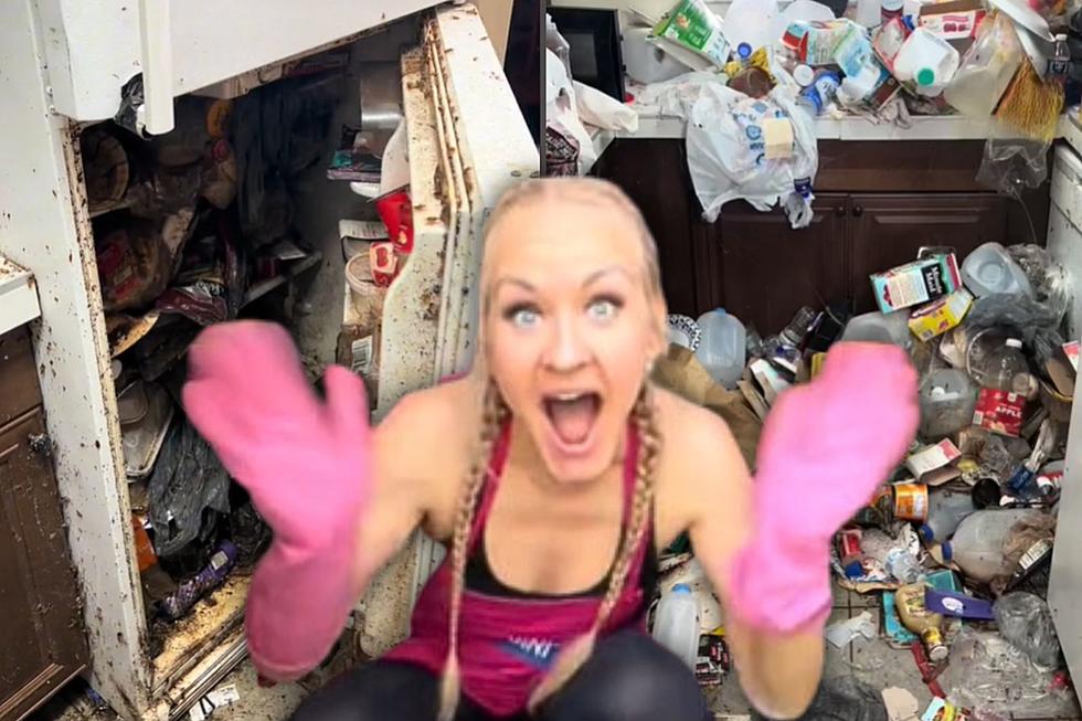 Professional Cleaner Goes Viral for Scrubbing the Filthiest of Homes for Free
