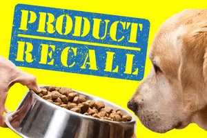Scary Pet Food Recall Sends Owners of Furry Friends Scrambling
