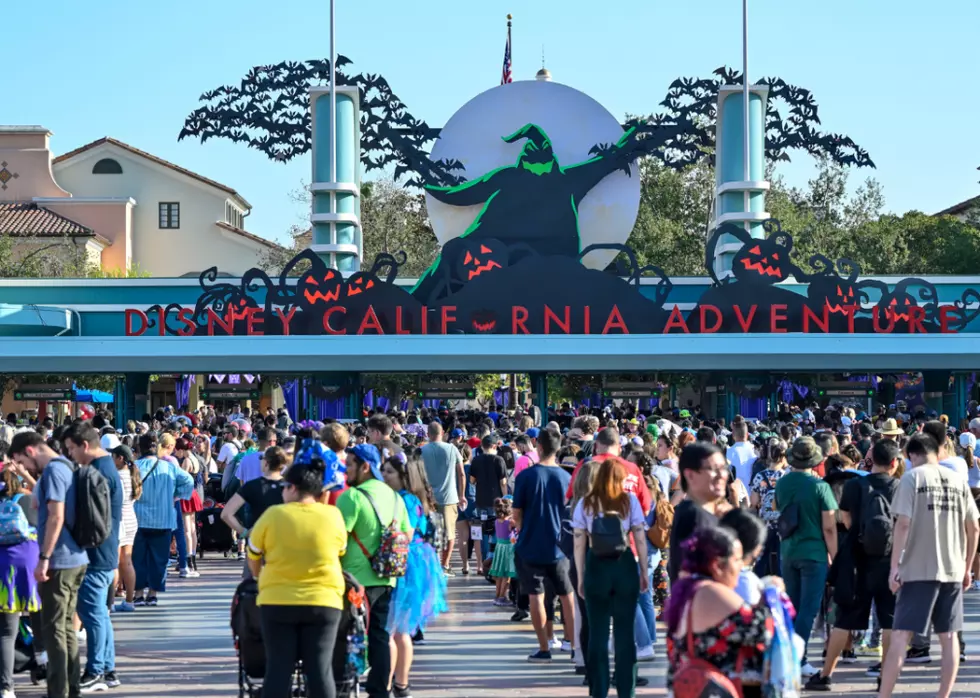 #2. Disneyland Park at Disneyland Resort