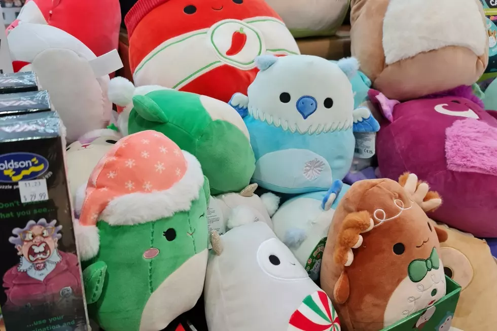 squishmallows in a store