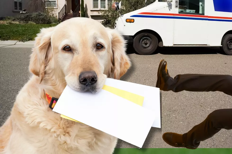 30 Worst Cities to Be a Mail Carrier Thanks to Attacking Dogs