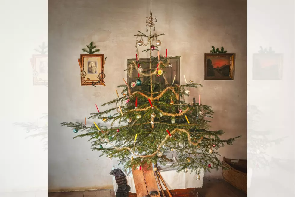 sparse Christmas Tree