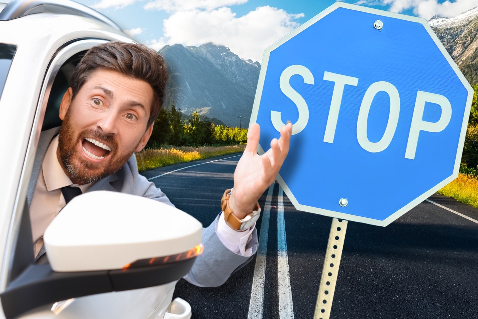 What Blue Stop Signs Mean and Where to Find Them