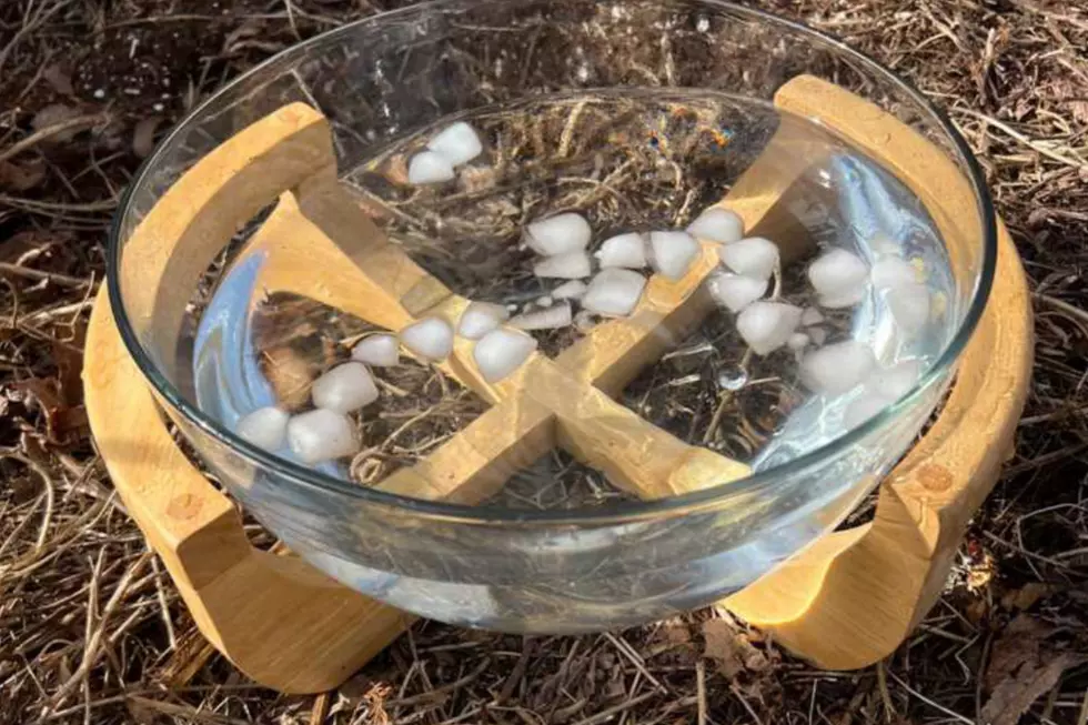 Dog dish in a Sniffspot yard