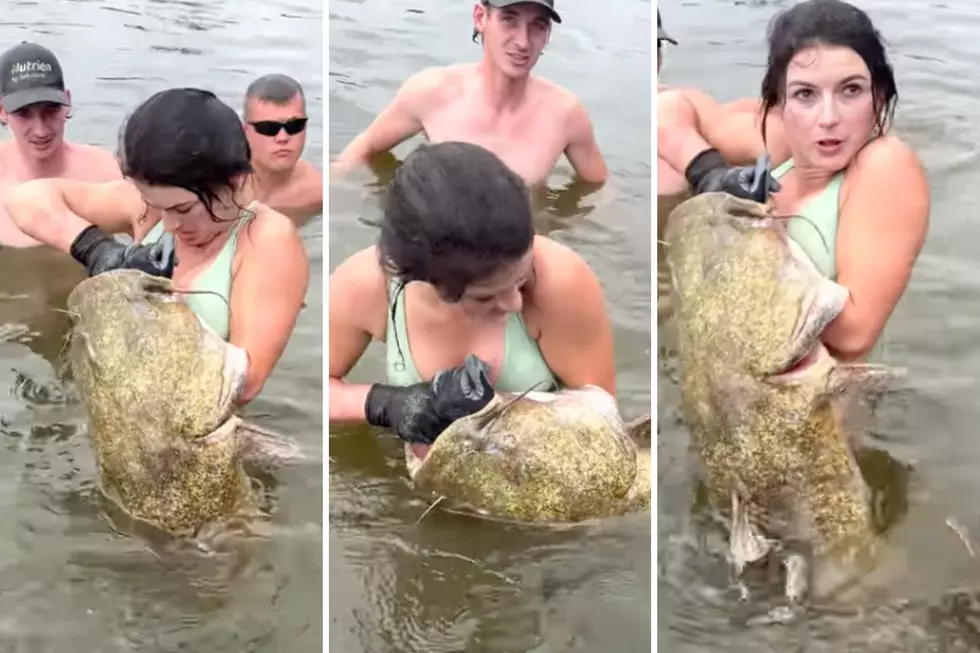 People noodling on a river in Illinois