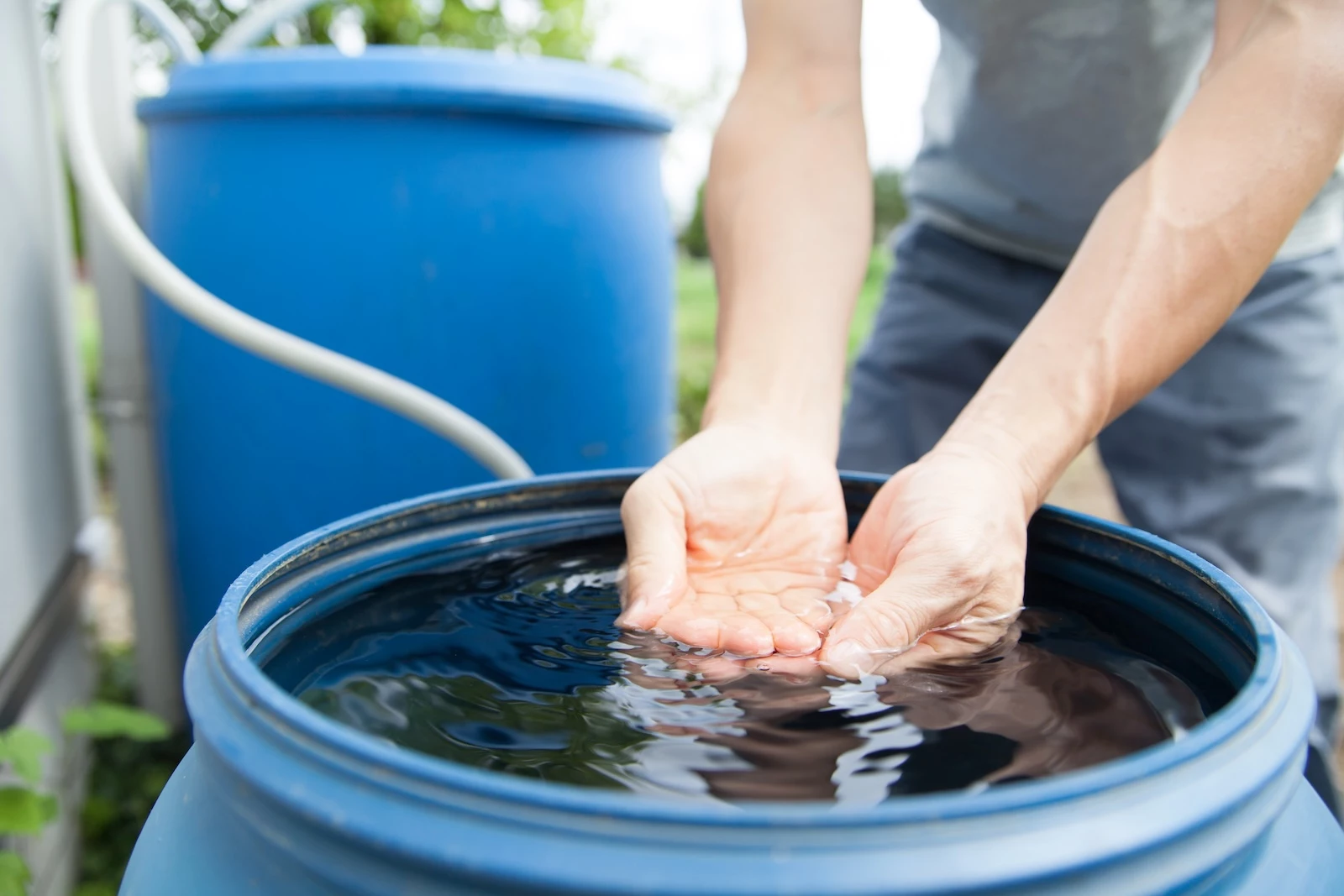 Rainwater Harvesting Laws: What Every Homeowner Should Know