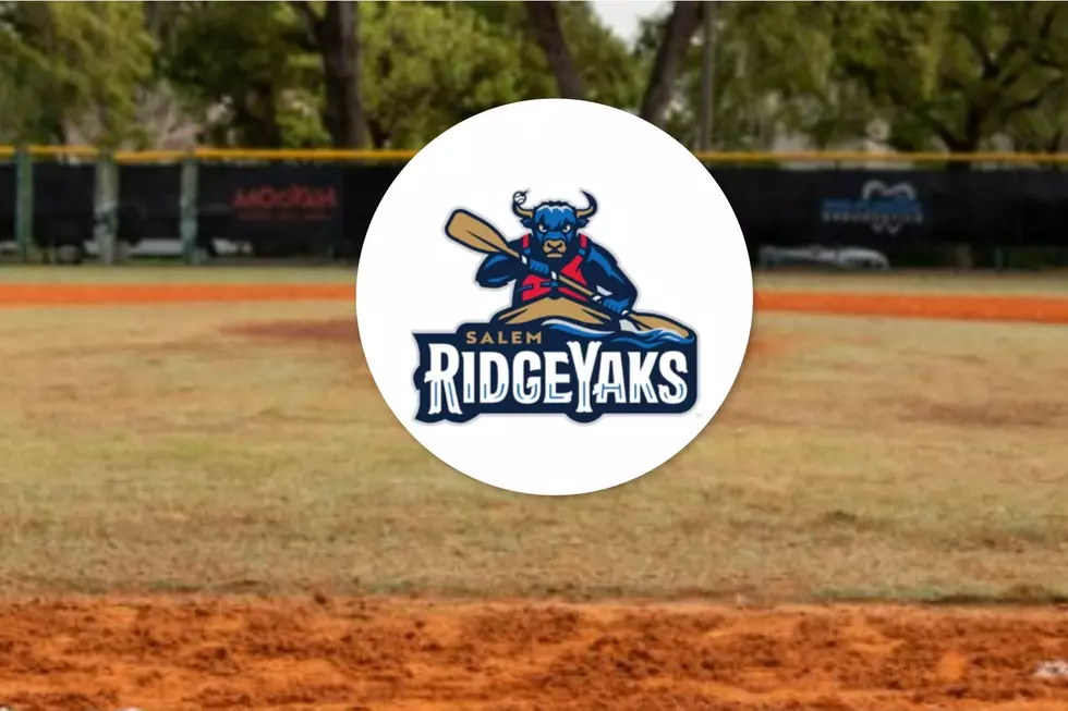 40 Hilarious Minor League Baseball Teams That Sound Fake, But Are Actually Real