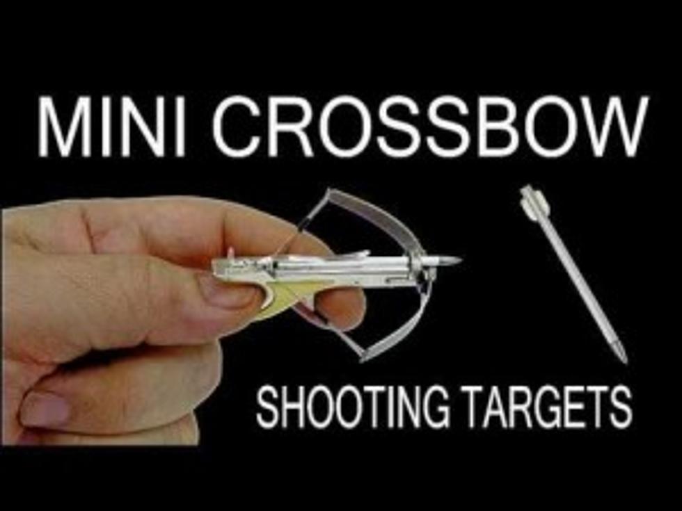 Working Mini Crossbow![Video]