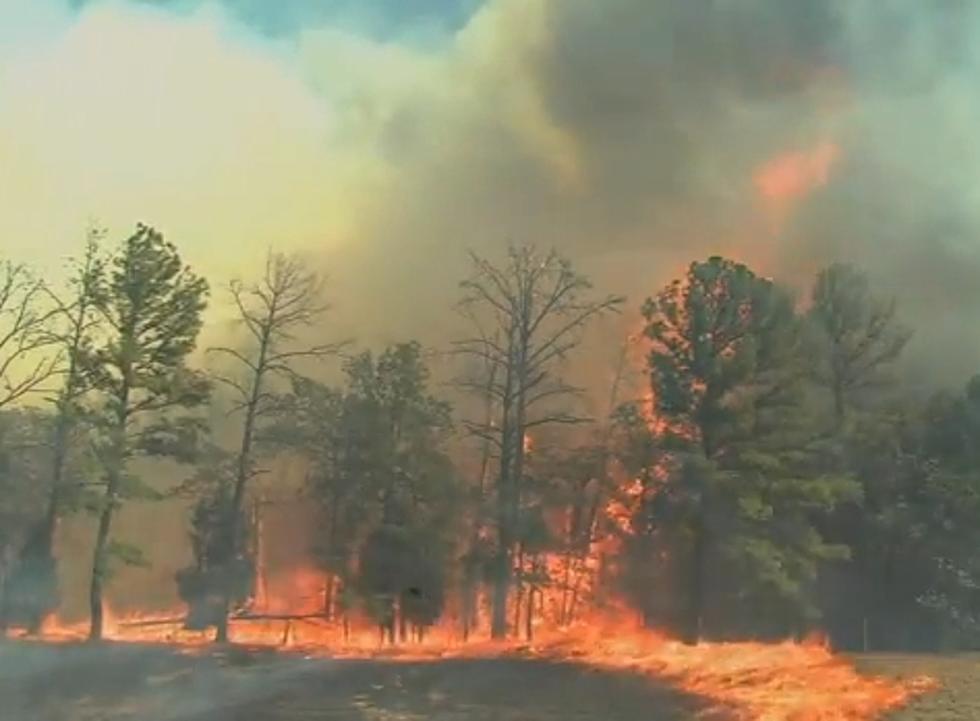 This Is How Fast A Wildfire Can Spread [Video]