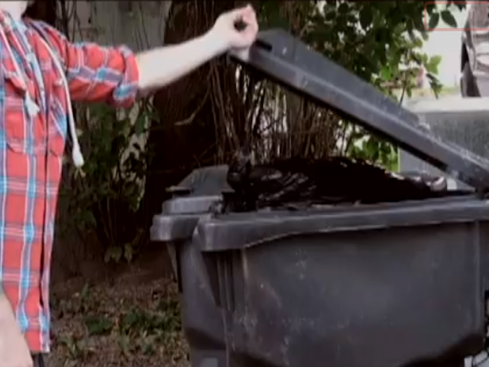What’s Hiding In This Garbage Can? [VIDEO]