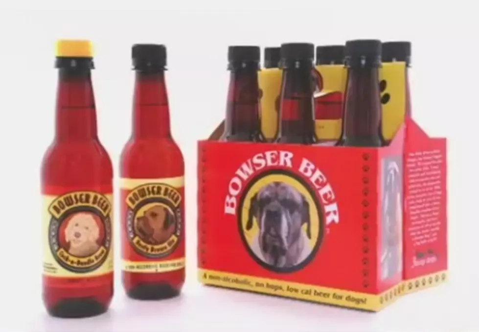Introducing Bowser Beer, The Beer For Dogs [Video]