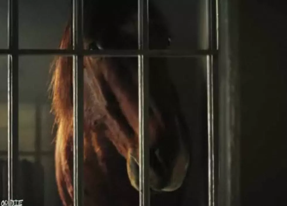 Interview With The Horse From Steven Spielberg’s ‘War Horse’ [Video]