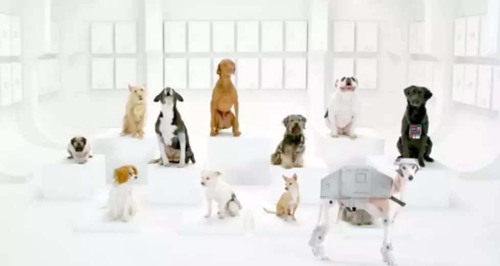 Volkswagen Superbowl Teaser Commercial Channels Star Wars Again [Video]