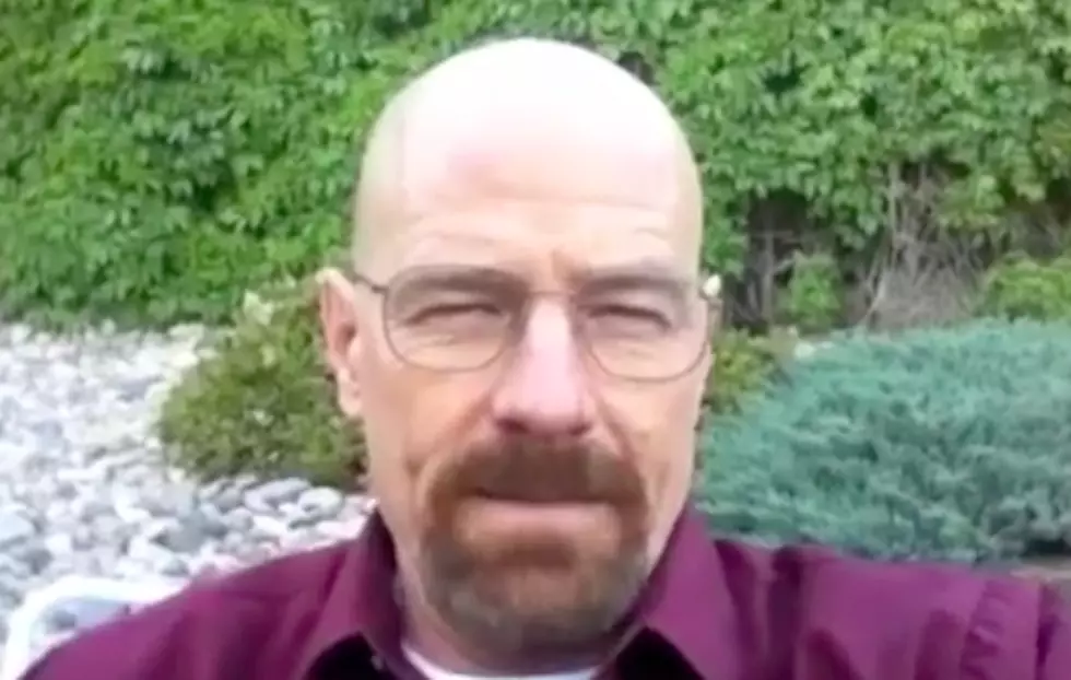 &#8216;Breaking Bad&#8217; Actors Star In Bizarre Endorsement For Candidate In Student Body President Election [Video]