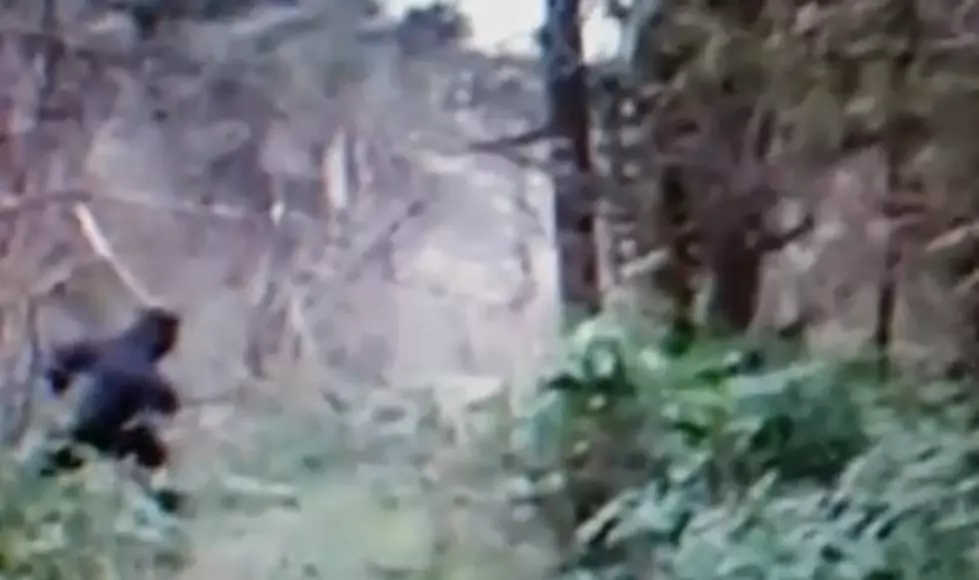 Bigfoot Caught On Video In Ohio! [Video]