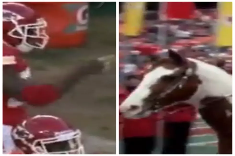 Kansas City Chiefs Eric Berry Is Hilariously Terrified Of Horses &#8211; Explains Why [Video]