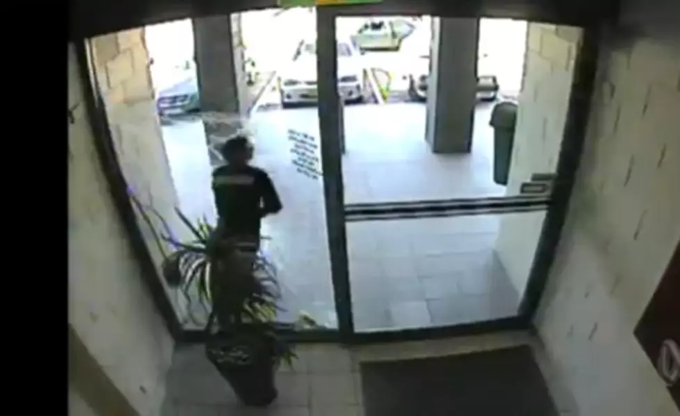 Purse Snatch And Grab Goes Wrong As Burglar Tries To Flee Through Glass [Video 1m 32s]