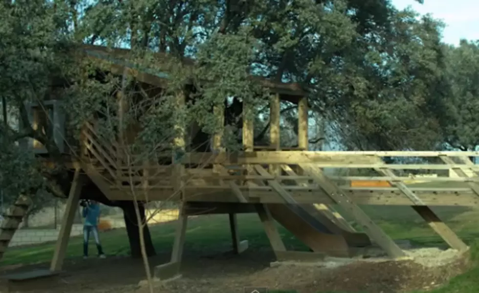 21 Treehouses That Will Awaken Your Inner Child [Video]