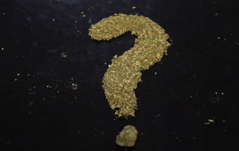 Here Are Things You Don’t Know About The Legalization Of Marijuana [Video]