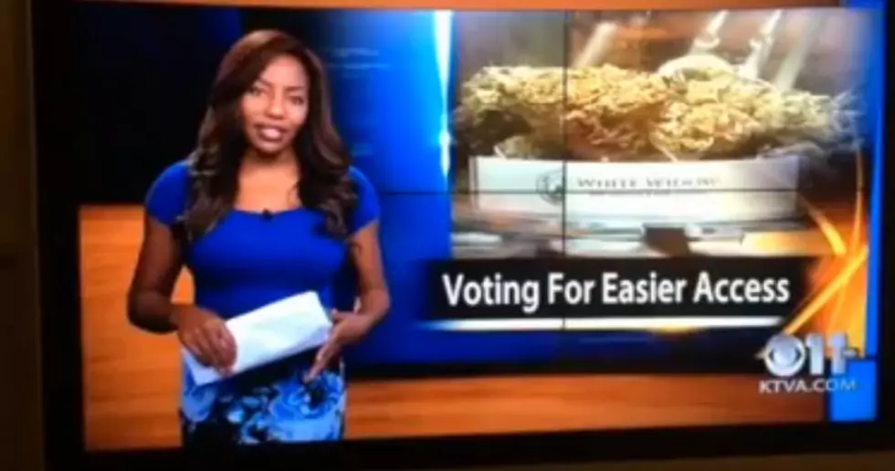 Alaskan T.V. Reporter Quits Her Job Live On Air [NSFW-Video]