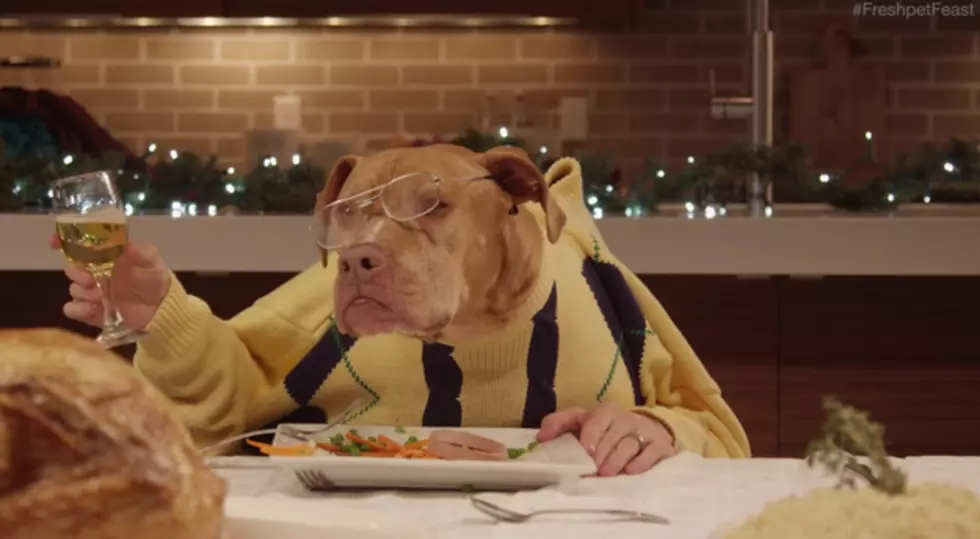 Is This The Best Christmas Ad This Year? [Video]